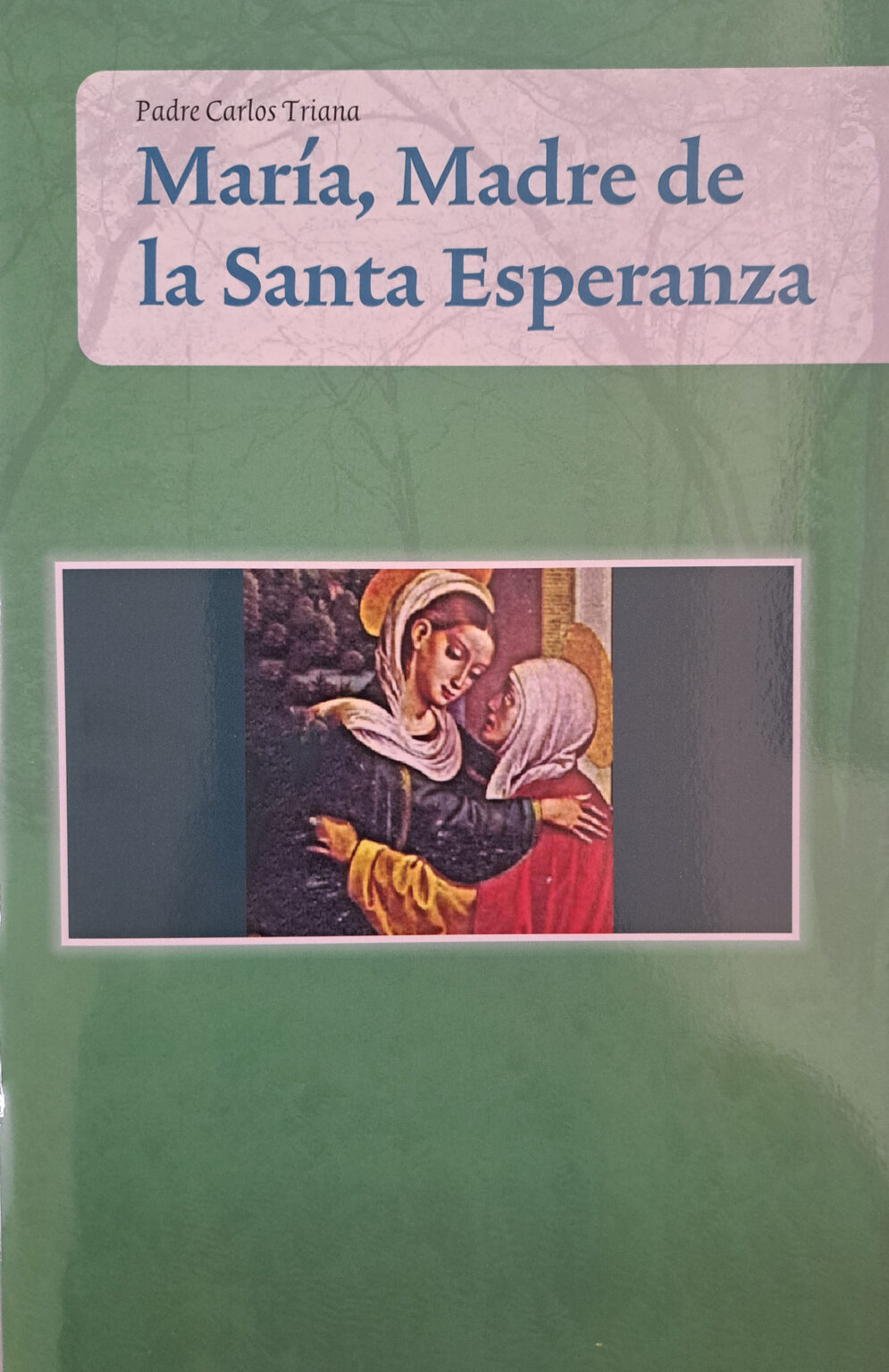 María, Madre de la santa esperanza