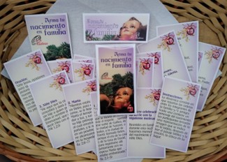 Arma tu nacimiento en familia (20 Tarjetas)