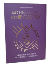 ¿Qué debo hacer para confesarme?