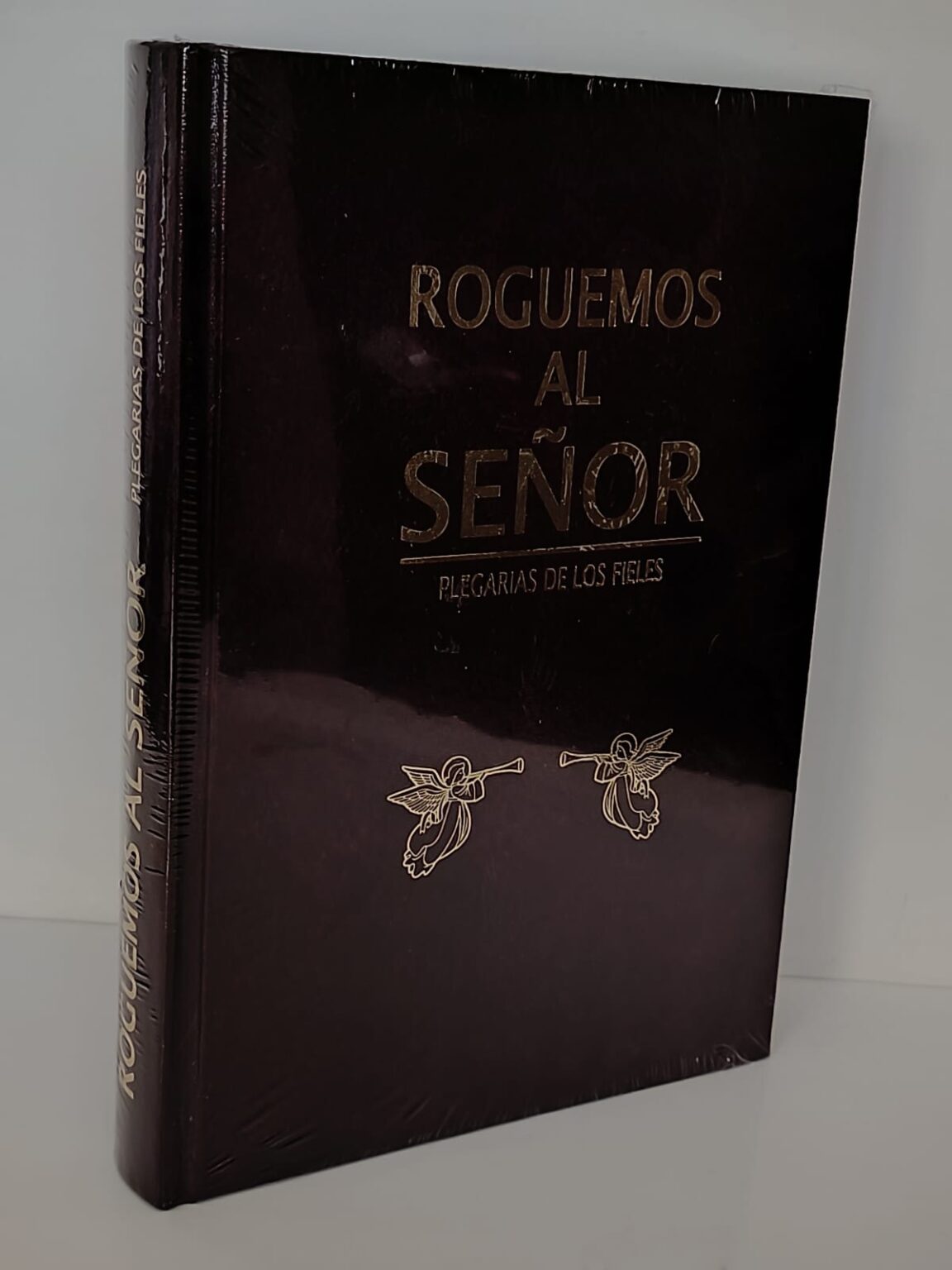 Roguemos al Señor, plegarias de los fieles