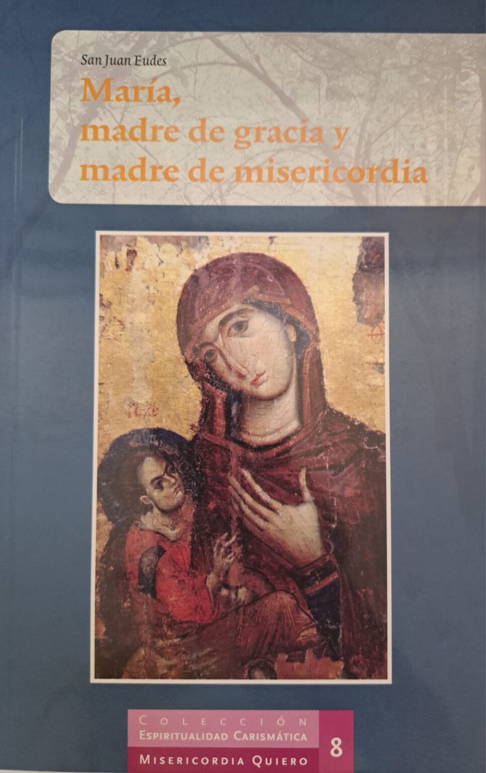 María, madre de gracia y madre de misericordia