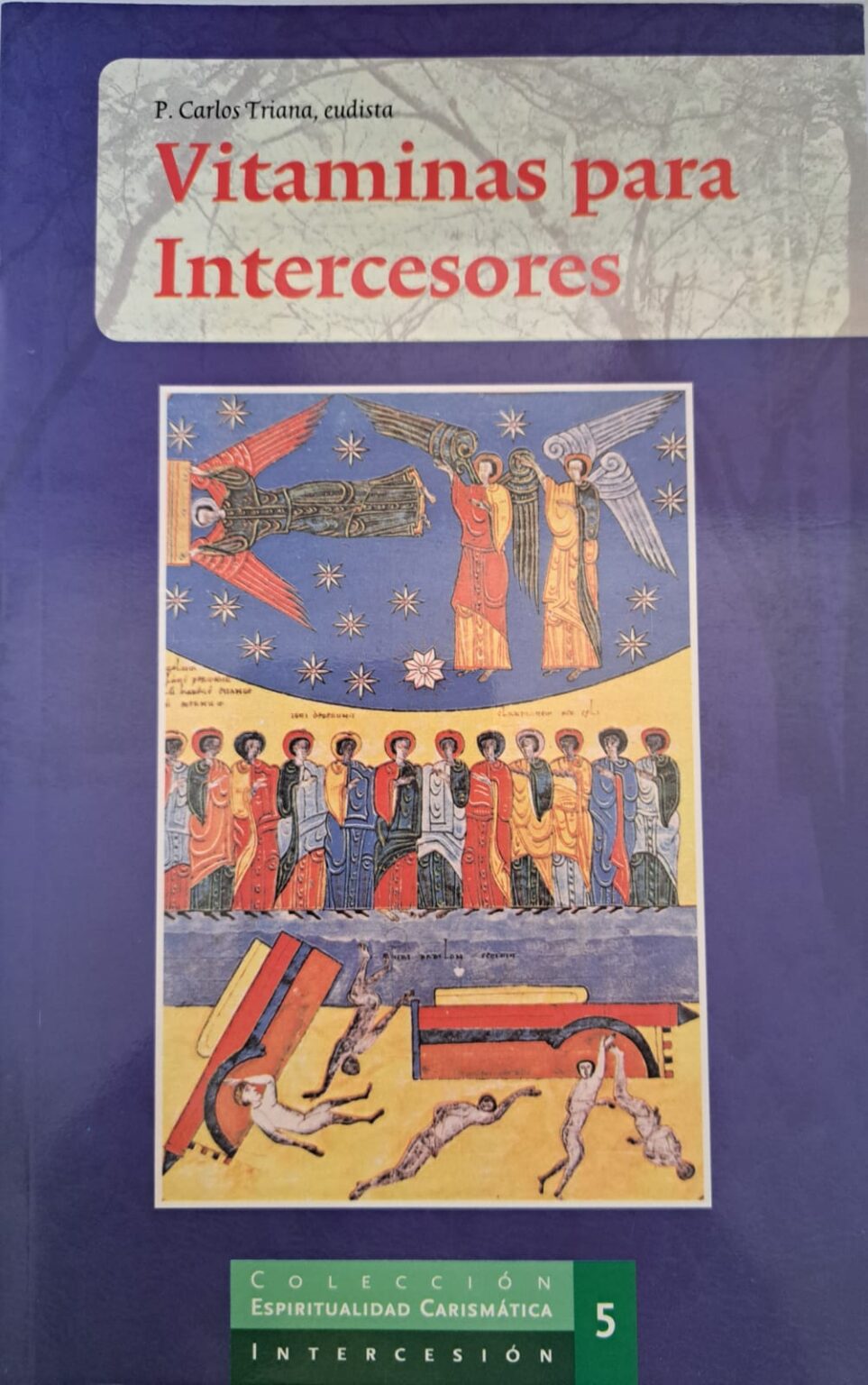 Vitaminas para intercesores