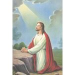 Estampa Piedad 11 (Amparo)